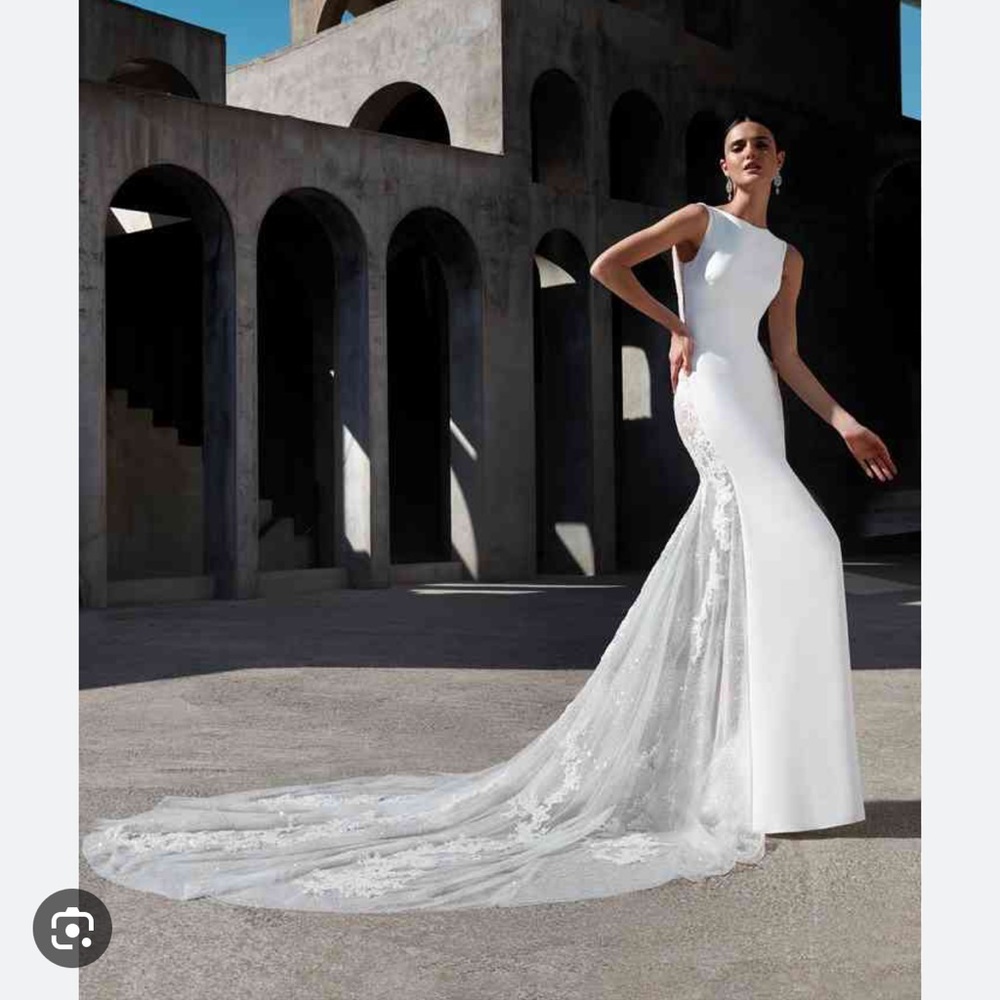 Atelier Pronovias Tyra Gown modified for low back